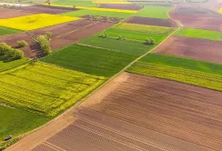 Вартість сільгоспземлі в Україні зросла на 26%