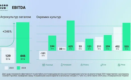Agrohub підбив підсумки продажів врожаю 2024, загальний EBITDA зріс в 3,5 рази та становить 446 $/га