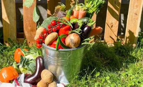 Плодоовочевий ринок: підсумки тижня