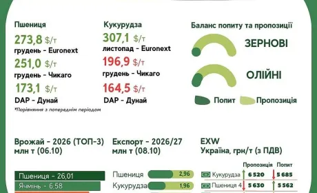 Тренди на ринку зернових та олійних з 2 по 8 жовтня