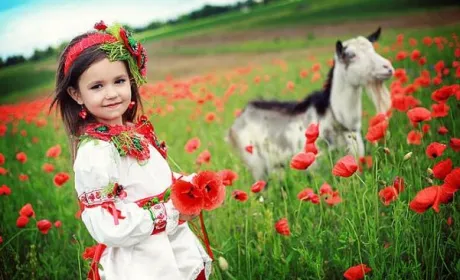 Українськиї аграрії конкурентні тільки там, де мають унікальні умови