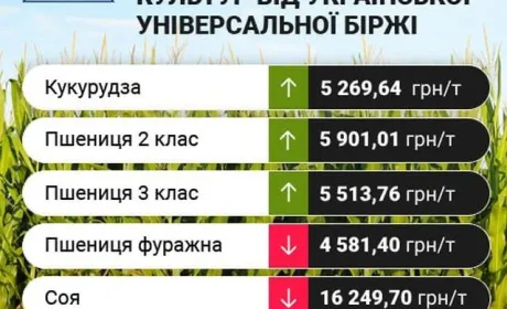 Цінові індикативи зернових та олійних за 21-27 серпня