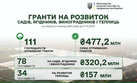 З початку року на розвиток садів і теплиць уряд виплатив понад 477 млн грн