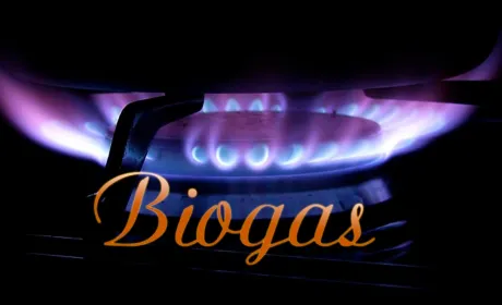 Україна - в ТОП-10 країн за кращим потенціалом виробництва біогазу
