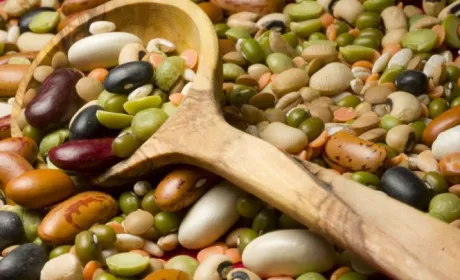 Європа зацікавлена в органічних бобових та продукції без глютену
