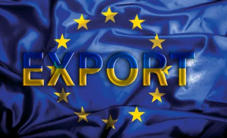 277 українських підприємств отримали право експорту в ЄС, — В.Лапа