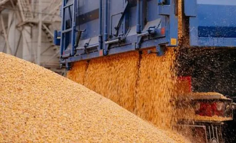 Експорт агропродукції у червні суттєво знизився