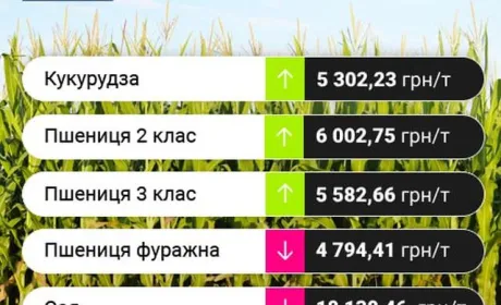 Проміжні підсумки цінових індикативів 14-16 серпня