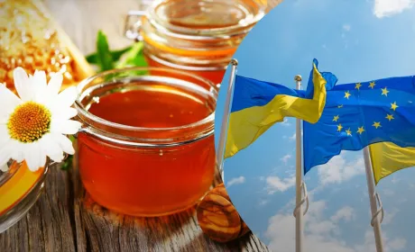 Медові річки з України міліють