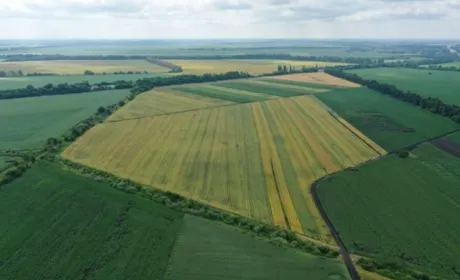 Кабмін схвалив пілотний проєкт з масової оцінки земель