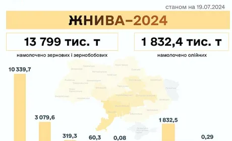 Жнива-2024: намолотили 15,7 млн т зернових та олійних