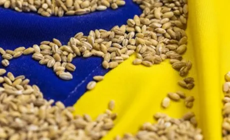 Україні необхідно вивозити хоча б 4 млн т зерна на місяць, – Денис Марчук
