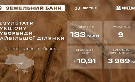На Кіровоградщині через аукціон передали в суборенду найбільшу державну земельну ділянку