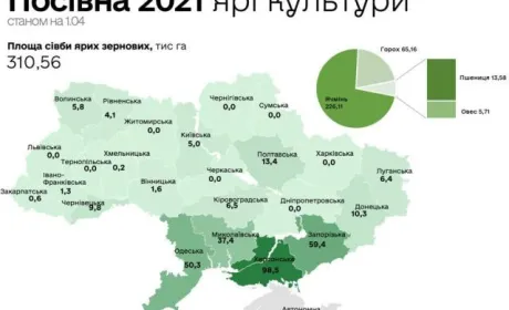 Мінекономрозвитку оприлюднив стан посівної кампанії 2021 року