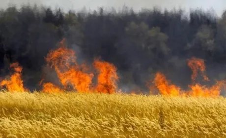 На Херсонщині горіли поля з зерновими