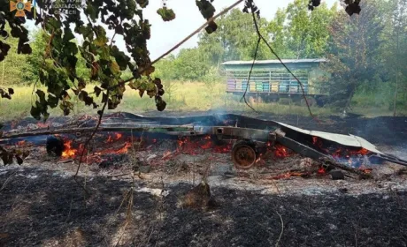 У пожежі в Полтавській області згоріли десятки вуликів із бджолами