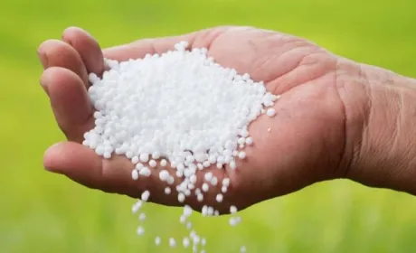 Через дешеву продукцію з росії німецькі виробники припиняють виробництво добрив