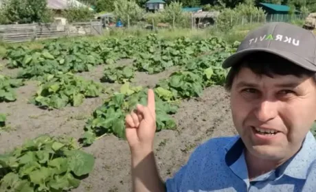 Воно проросло — обпалене, обпечене, але ось вони, сходи, —  Сергій Авраменко