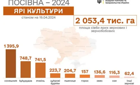 Весняна посівна-2024: засіяли вже понад 2 млн га ярих зернових і зернобобових