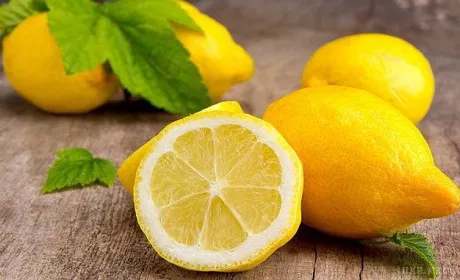 Південноафриканські виробники лимонів чекають на мир в Україні