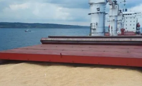 За минулий тиждень в рамках зернового коридору відвантажили лише 275 тис. т агропродукції