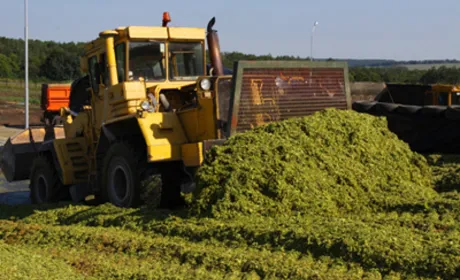 На Чернігівщині побудуть дві біогазові електростанції