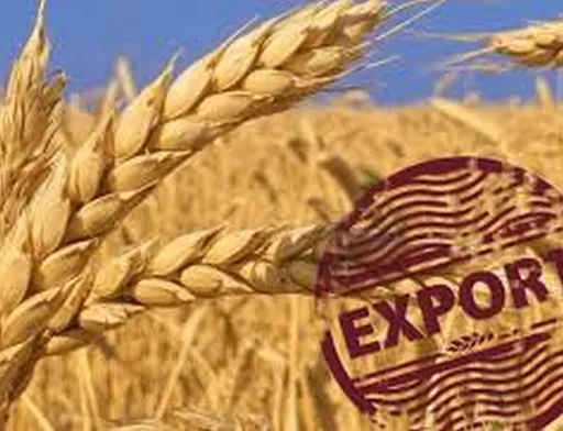 Україна на IGC Grains Conference 2026: від експорту зерна – до продукції з більшою доданою вартістю