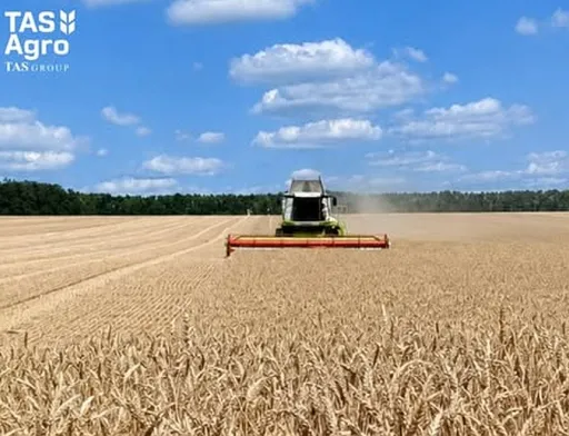 Компанія ТАС Агро розпочала жнива ранніх зернових