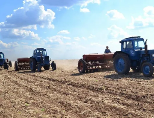 Як зміняться площі під основними культурами у 2019 році