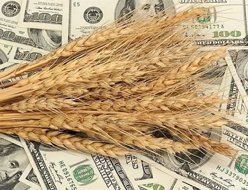 Ціни на пшеницю зростають: аграрії не поспішають продавати зерно