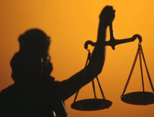 Комісія Мін’юсту фактично стимулює і підтримує агрорейдерство?
