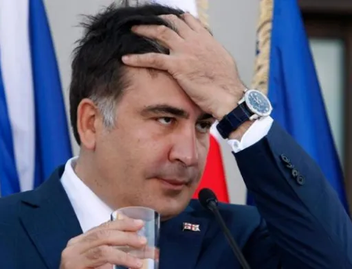 Політологи схильні вважати Аграрну платформу екс-голови Одеської облдержадміністрації Міхаеля Саакашвілі скоріше медійним та політтехнологічним проектом, аніж проектом з  реальної підтримки селян