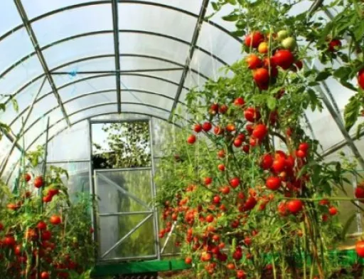 Держава продовжує допомагати охочим створити власний бізнес
