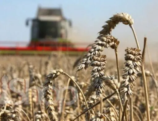 Україна запозичить у Японії досвід відновлення аграрного сектору