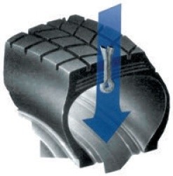 Схематичне зображення положення джгута у шині