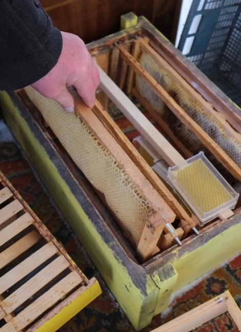 Рамка власної конструкції і форма для брускового меду
