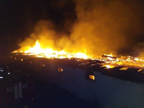 Пожар в курятнике. Фото dsns.gov.ua