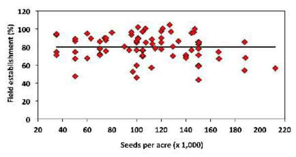 Рис. 1. Польова схожість (по вертикалі у %) і густота посіву в тис. шт./акр (0,4 га) (по горизонталі)