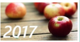 Яблочный бизнес Украины-2017