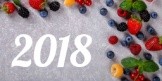 Девятая международная конференция «Ягоды Украины-2018: заморозка и свежий рынок»