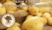 Українська асоціація виробників картоплі разом із голландськими колегами проводить дослідження ринку картоплі в Україні та сусідніх країнах, аби визначитися, яка саме продукція потрібна на експорт і для внутрішнього споживання в найближчі роки