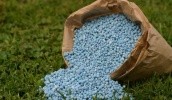 Нардепы требуют остановить незаконный импорт российских удобрений в Украину