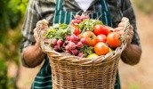 Французкое правительство хочет, чтобы цены на продовольственные продукты устанавливали фермеры 