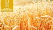 Суд вернул «Государственной продовольственно-зерновой корпорации Украины» 21 млн грн