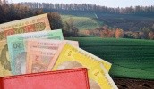 В Украине на аукционах продали земли на 115 млн грн