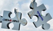 После объединения Syngenta с ChemChina на украинском рынке средств защиты растений и семян ничего не меняется