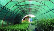 Найбільш ефективним способом збереження урожаю вважається затіняюча сітка. Вона дозволяє захистити рослини як від зайвої спеки, так і від надмірної вологості