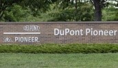 DuPont Pioneer має намір продовжувати працювати над створенням продуктів на основі передової селекційної технології CRISPR-Cas