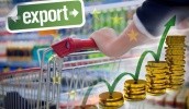 Квоти Євросоюзу для виходу українських продуктів на європейський ринок доволі незначні і вони вичерпуються досить швидко. Але квоти не є вирішальними для українського експортера