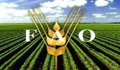 В Україні FAO розпочало роботу в рамках "Надзвичайної програми" в 2015 році, після початку військового конфлікту на сході, допомагаючи Луганській і Донецькій областях